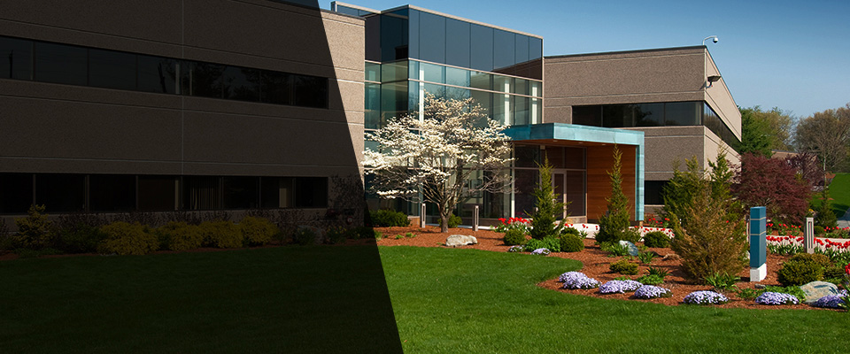 Canisteo Landscapers