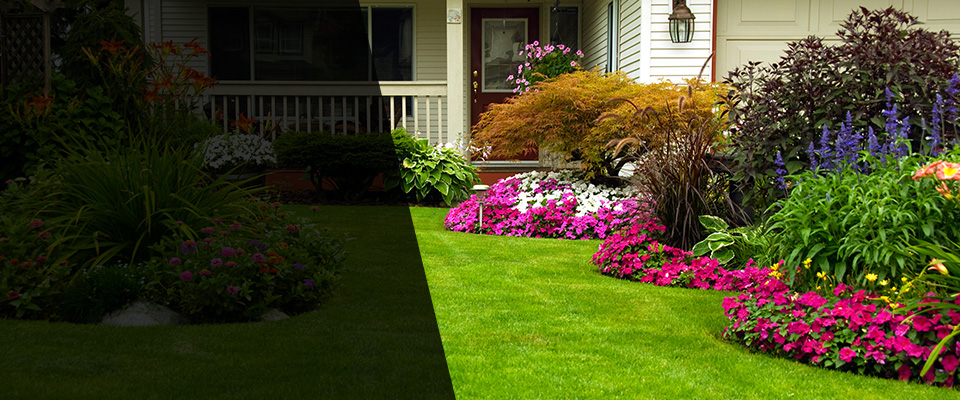 Canisteo Landscapers