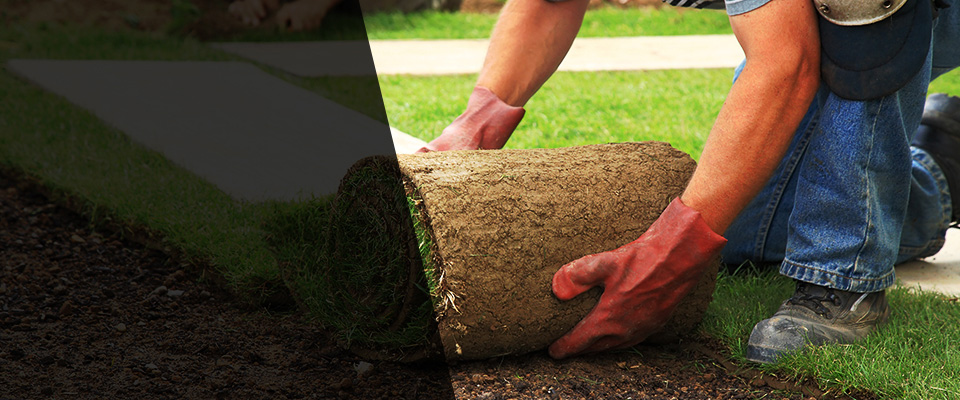 Canisteo Landscapers